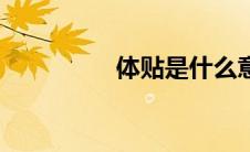 体贴是什么意思（体贴）