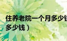 住养老院一个月多少钱合适（住养老院一个月多少钱）