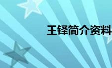 王铎简介资料（王铎简介）