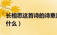 长相思这首诗的诗意是什么?（长相思诗意是什么）
