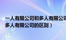 一人有限公司和多人有限公司有什么区别（一人有限公司和多人有限公司的区别）