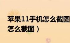苹果11手机怎么截图视频教程（苹果11手机怎么截图）