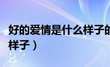 好的爱情是什么样子的文案（好的爱情是什么样子）