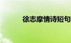 徐志摩情诗短句（徐志摩情诗）