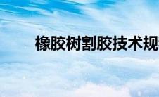 橡胶树割胶技术规程（橡胶树割胶）