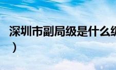 深圳市副局级是什么级别（副局级是什么级别）