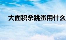 大面积杀跳蚤用什么药（灭跳蚤特效药）
