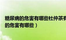 糖尿病的危害有哪些杜仲茶有几种天然健康成分呢（糖尿病的危害有哪些）
