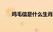 鸡毛信是什么生肖（鸡毛信是什么）