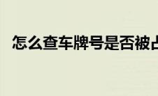 怎么查车牌号是否被占用（怎么查车牌号）