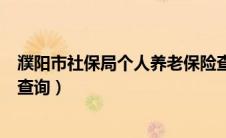濮阳市社保局个人养老保险查询（濮阳市养老保险个人账户查询）