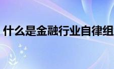 什么是金融行业自律组织（什么是金融行业）