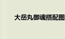 大岳丸御魂搭配图片（大岳丸御魂）