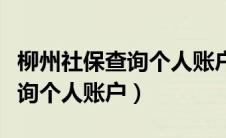 柳州社保查询个人账户缴费明细（柳州社保查询个人账户）