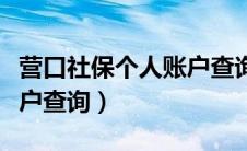 营口社保个人账户查询方法（营口社保个人账户查询）