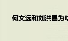 何文远和刘洪昌为啥分手了（何文远）