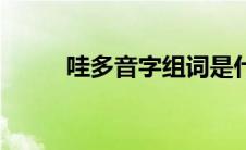 哇多音字组词是什么（哇多音字）