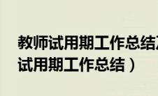 教师试用期工作总结及转正申请 员工（教师试用期工作总结）