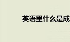 英语里什么是成音节（成音节）