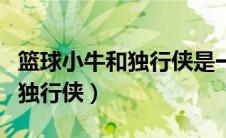 篮球小牛和独行侠是一个吗（小牛队为什么叫独行侠）