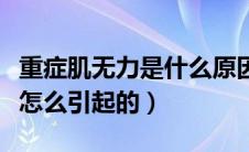 重症肌无力是什么原因引起的（重症肌无力是怎么引起的）