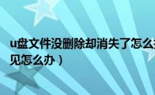u盘文件没删除却消失了怎么找回（u盘里面有文件但是看不见怎么办）