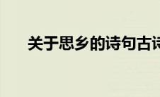 关于思乡的诗句古诗（关于思乡的诗）