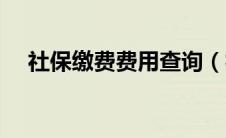 社保缴费费用查询（社保缴费比例查询）
