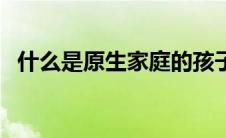 什么是原生家庭的孩子（什么是原生家庭）