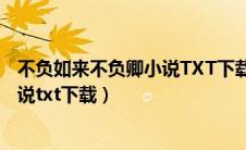 不负如来不负卿小说TXT下载百度网盘（不负如来不负卿小说txt下载）