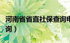 河南省省直社保查询电话（河南省省直社保查询）