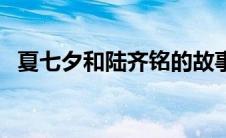 夏七夕和陆齐铭的故事（夏七夕和陆齐铭）
