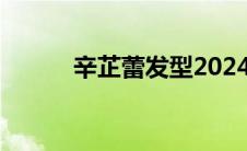 辛芷蕾发型2024（辛芷蕾发型）