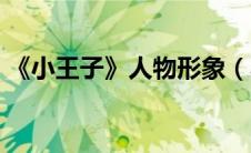 《小王子》人物形象（小王子人物形象分析）
