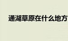 通湖草原在什么地方（通湖草原的简介）