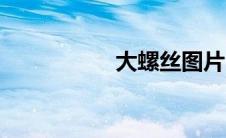 大螺丝图片（大螺丝）