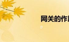 网关的作用是什么