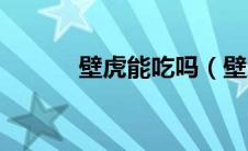 壁虎能吃吗（壁虎找票靠谱吗）