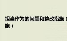 担当作为的问题和整改措施（担当作为方面的问题及整改措施）