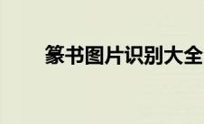 篆书图片识别大全（篆书图片识别）