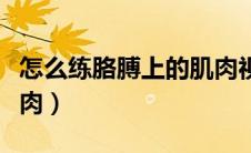 怎么练胳膊上的肌肉视频（怎么练胳膊上的肌肉）