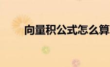 向量积公式怎么算（向量积怎么算）