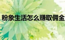 粉象生活怎么赚取佣金（粉象生活如何赚钱）