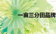 一亩三分田品牌（一亩三分田）