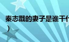 秦志戬的妻子是谁干什么的（秦志戬妻子是谁）