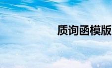 质询函模版（质询函）