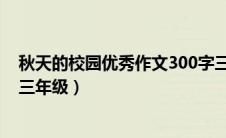 秋天的校园优秀作文300字三年级（秋天的校园作文怎么写三年级）