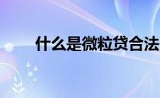 什么是微粒贷合法吗（什么是微米）