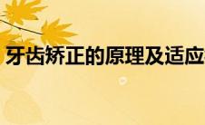 牙齿矫正的原理及适应症（牙齿矫正的原理）