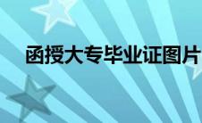 函授大专毕业证图片（大专毕业证图片）